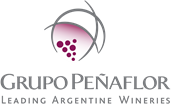 Grupo Peñaflor